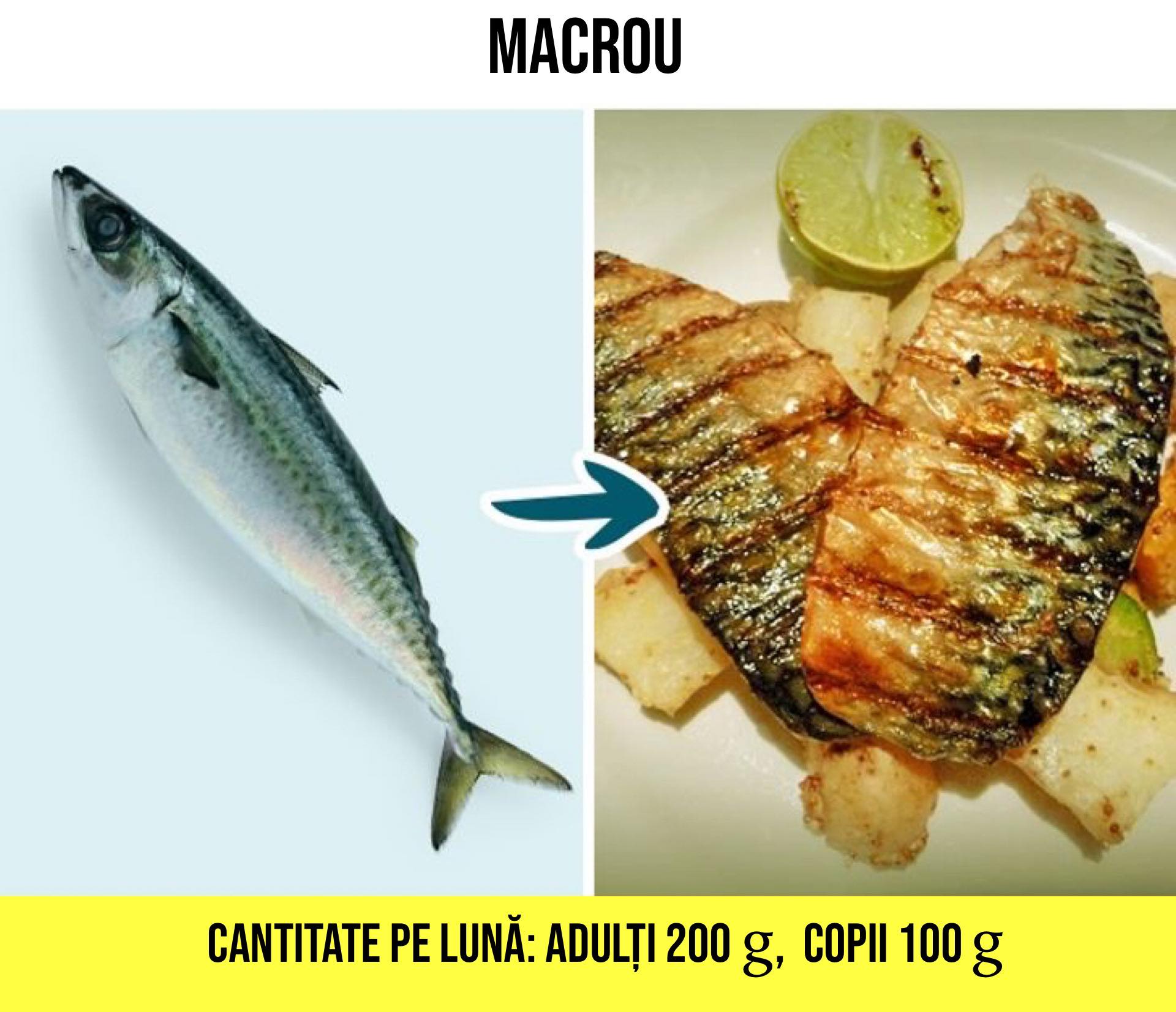 macrou