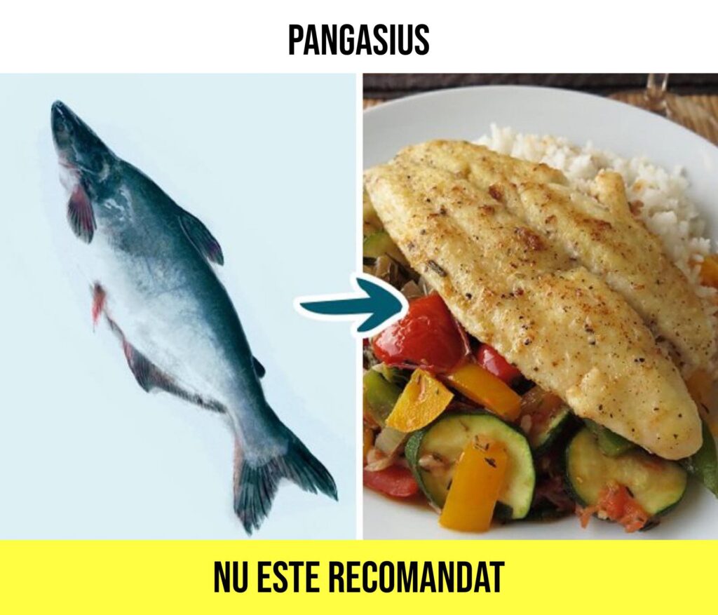 pangasius