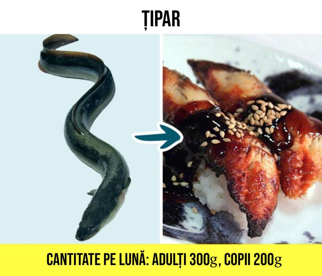 tipar