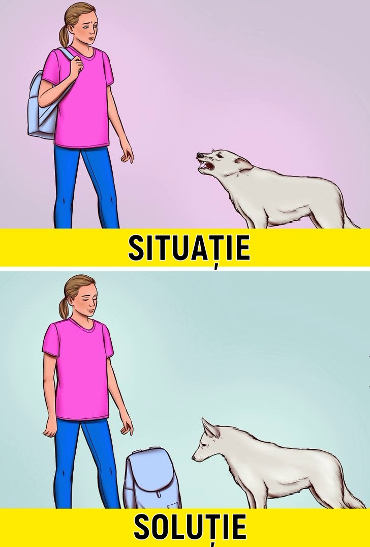 Cum să-ți protejezi viața dacă ești atacat de un câine fără stăpân 52 1 15