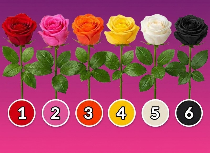Alege un trandafir și descoperă ceva interesant despre personalitatea ta 🌹 51 647535531