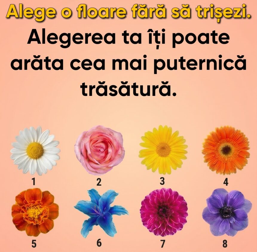 Alege o floare și vezi ce spune despre personalitatea ta 51 65184322