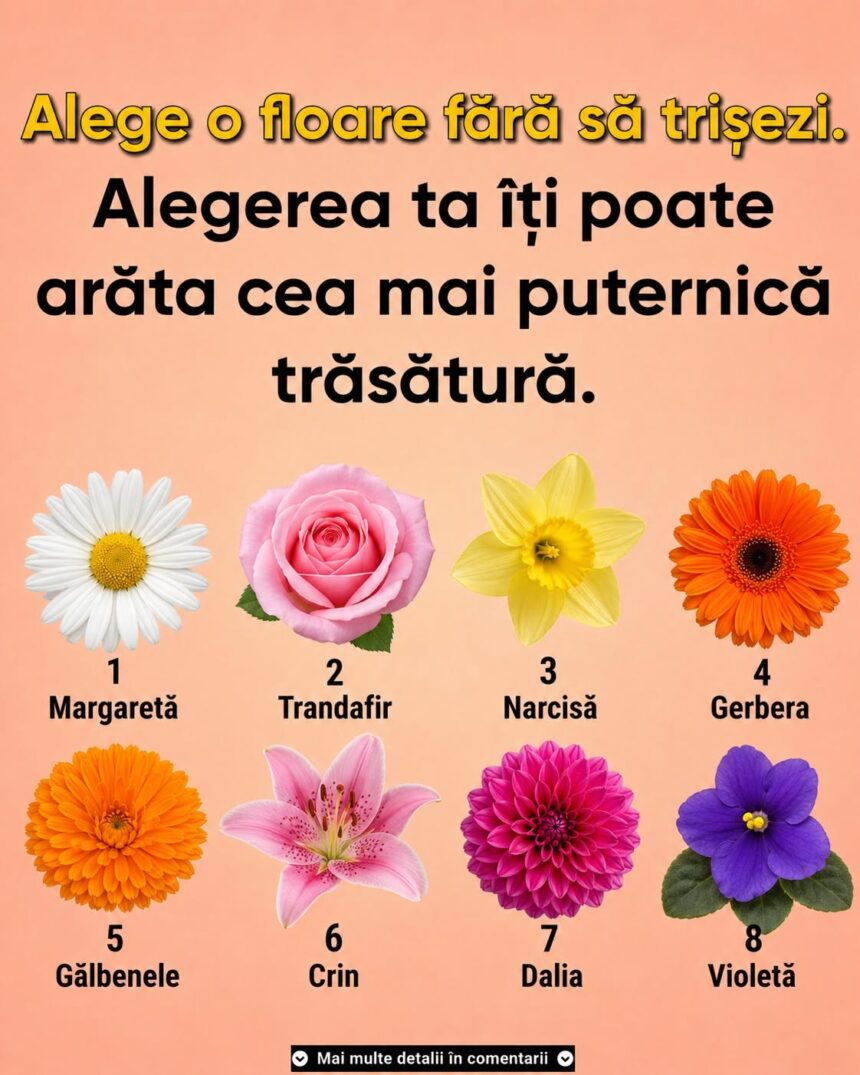 Alege o floare și vezi ce spune despre personalitatea ta 51 732908807