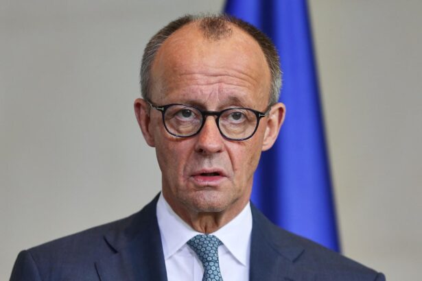 merz criticised after calling for syrians in germany to go back home 69cc1af46db30