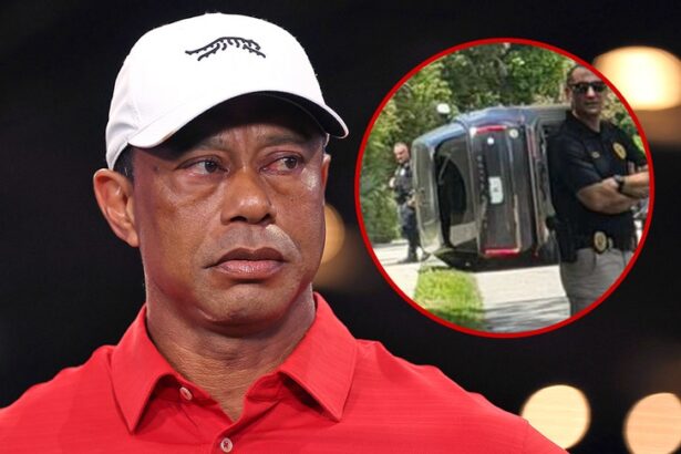 tiger woods reportedly will not hire driver due to privacy concerns 69ca764e8ecf8