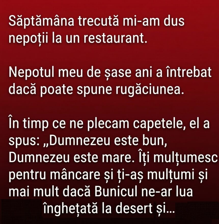 Lecția de bunătate: Ce am învățat de la nepotul meu de 6 ani într-un restaurant 51 668571913
