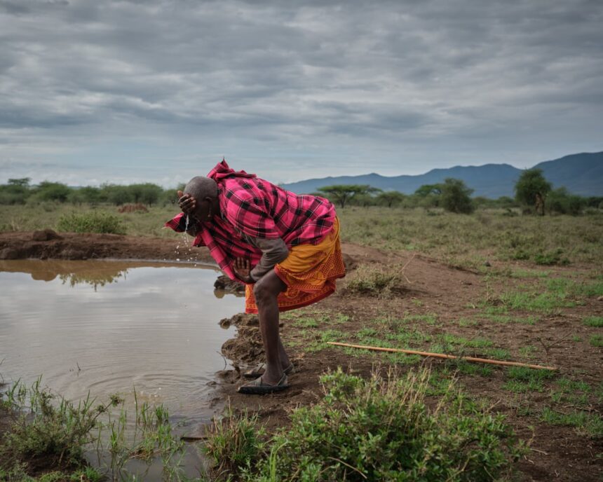 Maasai primesc cu bucurie primele ploi, dar știu că seceta persistă 51 all we can do now is pray they continue maasai welcome the first rains but know that drought is far from over 69d49fdc50e60