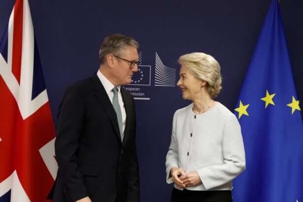 britain could adopt single market rules without mps vote as part of uk eu reset 69dbddc640818