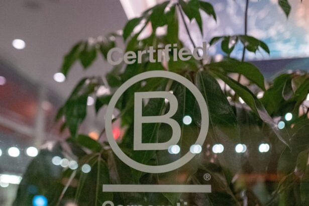 dozens of firms risk losing b corp status after standards overhaul 69d3e7dc096f1