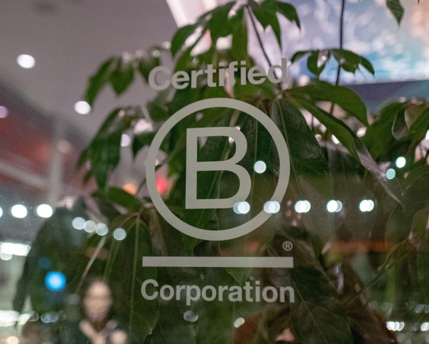 Zeci de companii riscă să-și piardă statutul B Corp după revizuirea standardelor 51 dozens of firms risk losing b corp status after standards overhaul 69d3e7dc096f1