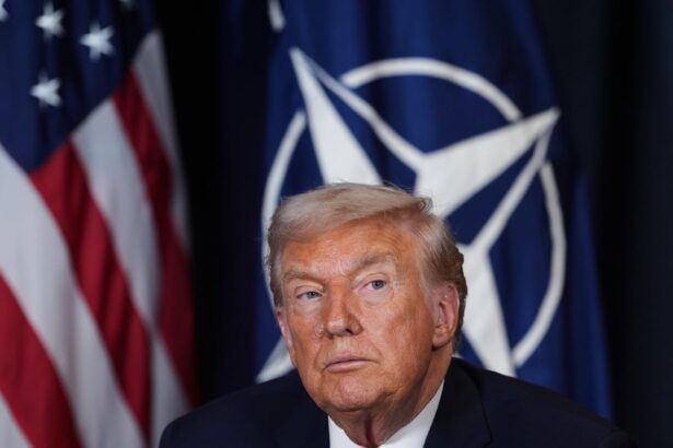 eu leaders agree blueprint for mutual assistance pact amid trumps criticism of very disappointing nato 69eb6f413daf8