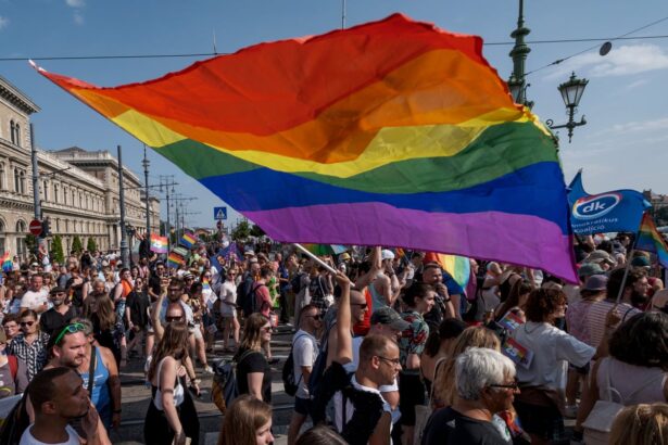 eus top court finds hungarys anti lgbtq law in breach of key values 69e75797ed23b