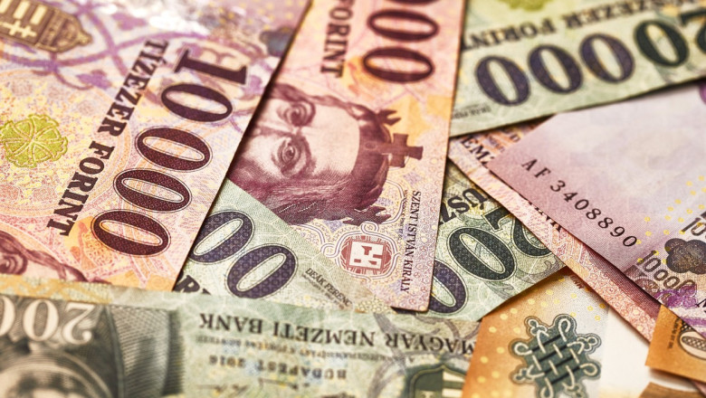 Forintul ungar atinge maximul ultimilor patru ani după victoria opoziției 51 forintul ungar la maximul ultimilor patru ani dupa infrangerea lui orban victoria opozitiei poate aduce miliarde de euro de la ue 69dcb649bec16