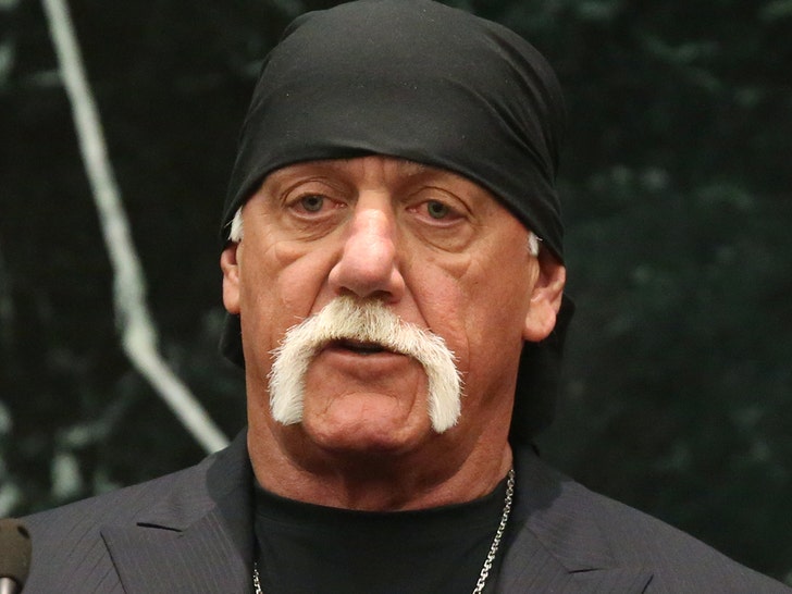 hulk hogan took lethal amounts of fentanyl daily after divorce from linda 69e8b4ef0afda