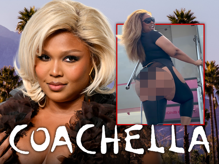 lizzo bares her bum twerks on labubu at coachella 69da3a60330b5