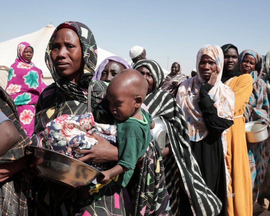 Peste 1 miliard de lire sterline promise pentru Sudan în contextul crizei umanitare 51 more than 1bn pledged for sudan as humanitarian crisis deepens 69e1cdac63fc2