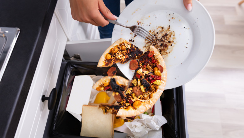 România pierde anual peste 3,4 milioane de tone de alimente, cu impact asupra mediului și economiei 51 romania arunca anual peste 34 milioane de tone de alimente cum afecteaza risipa mediul si economia 69e0a87e2b504