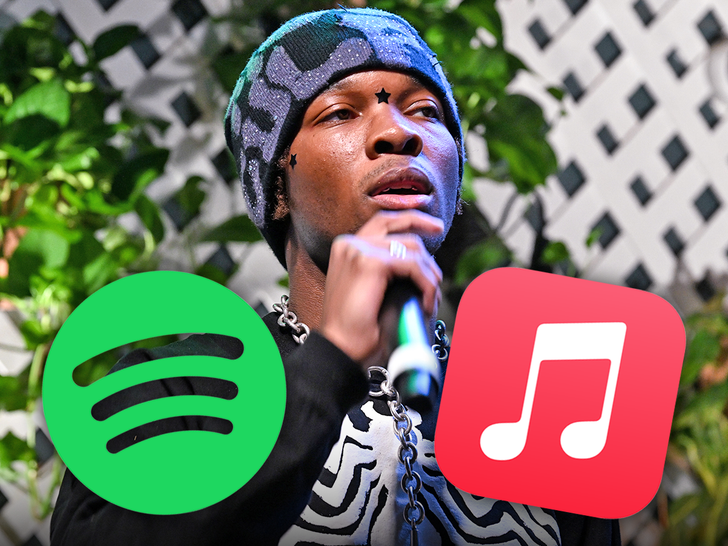 Platformele de streaming sub presiune să elimine muzica lui D4vd după acuzația de omor 51 streaming platforms pressured to cut d4vds music out of catalogs following murder charge 69ecc32d6df22