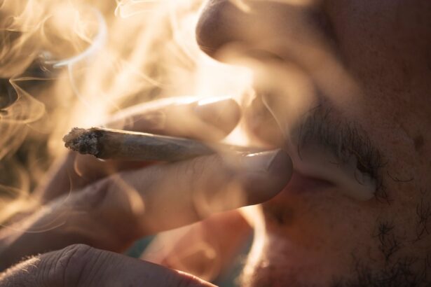 success or total flop report on germanys cannabis legalisation fails to settle debate 69cd4a7dc689c