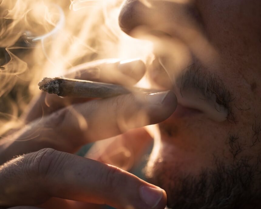 Raportul privind legalizarea canabisului în Germania nu clarifică dezbaterea 51 success or total flop report on germanys cannabis legalisation fails to settle debate 69cd4a7dc689c