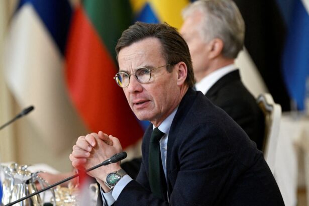 swedish pm offers deal that could see far right allowed into government 69cdd0156f9ca