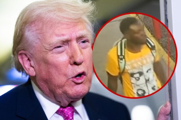 trump posts horrific video showing haitian man beating woman with hammer 69d8fde8c1120