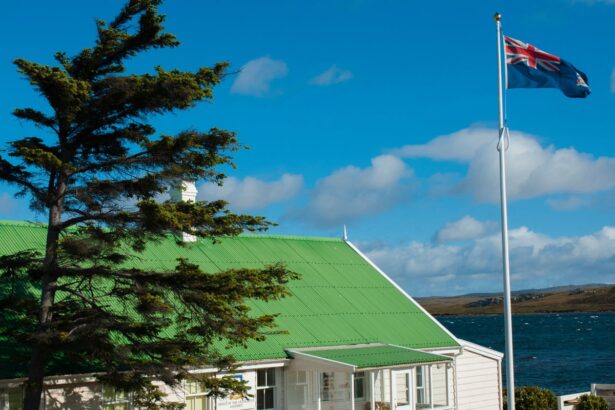 uk position on falklands will not change no 10 says after leaked pentagon memo 69eb7d4f59f38
