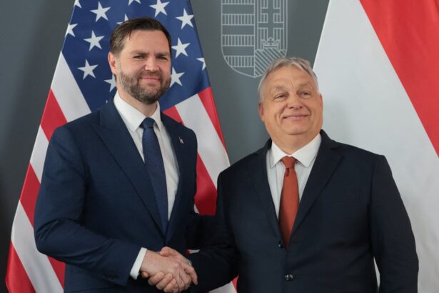 viktor orban told putin i am at your service in october phone call 69d4f7227b00a