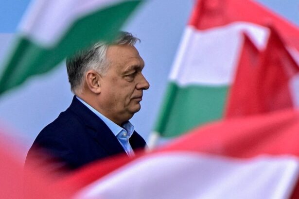 we were never friends kremlin plays down loss of ally following orbans election defeat 69de3cc33ce79