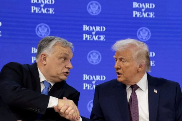 why us and russia are backing viktor orban in hungary election 69d13b67e1ea9