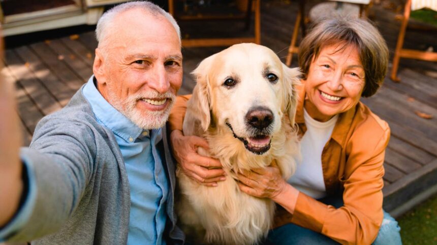 if your parents seem to love their pets more than you you likely notice these 11 things 6a04e0eb0ed3e
