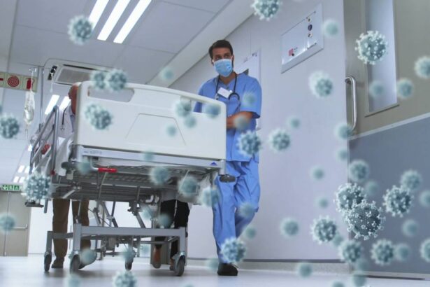 long hantavirus cercetatorii analizeaza efectele pe termen lung ale infectiei dupa modelul long covid 6a06b0b0d2e06