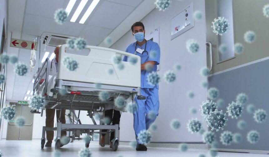 long hantavirus cercetatorii analizeaza efectele pe termen lung ale infectiei dupa modelul long covid 6a06b0b0d2e06