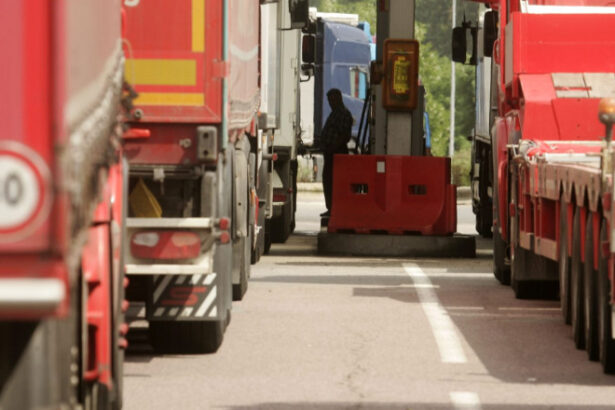 transportatorii de marfa cer o perioada tranzitie in aplicarea noului sistem de taxare rutiera care intra in vigoare la 1 iulie 6a15c23066fe6