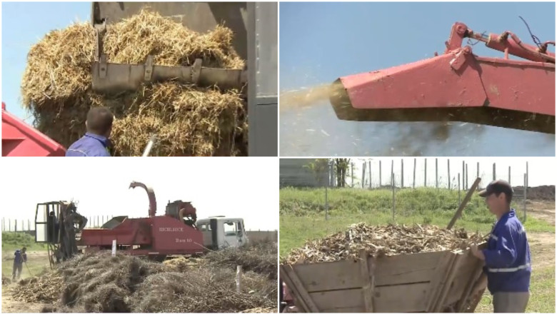 Comuna care transformă resturile vegetale în îngrășământ natural pentru localnici 51 video comuna care transforma resturile vegetale din gospodarii in ingrasamant natural localnicii fac rand la utilajul cumparat de primarie 69f9a2249f48a