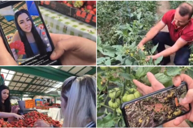 video noul trend printre comerciantii din piete fructe si legume promovate pe retelele sociale cum ajuta clipurile online vanzarile 6a11875c95098