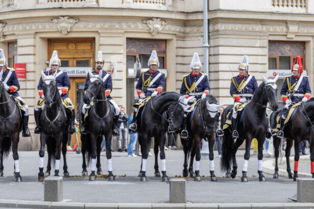 ziua regalitatii sarbatorita pe 10 mai de ce este considerata una dintre cele mai importante date din istoria tarii 6a0006ada43aa
