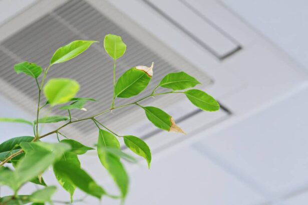aerul conditionat de la birou iti poate afecta sanatatea semnele care ar putea indica o problema ascunsa 6a2a55ff34f63