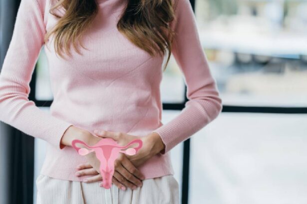 amanarea menstruatiei cu ajutorul contraceptivelor hormonale 6a22c29fed979