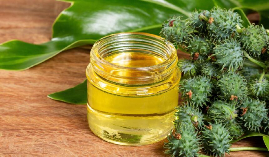 Beneficiile armurariului: un remediu natural pentru sănătate 51 armurariu milk thistle silybum marianum 6a2669e0c3bbe