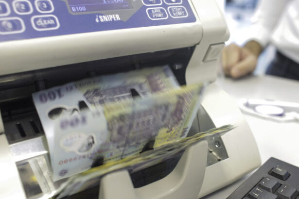 avertismentul economistior datoria publica a romaniei ar putea sa ajunga la 90 din pib mai devreme de 2036 6a3d24faca386