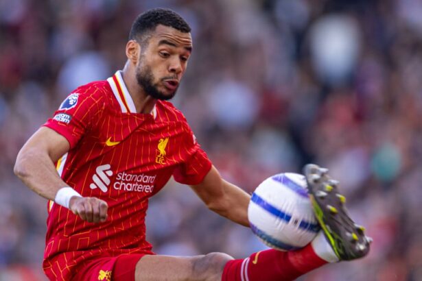 cody gakpo vrea sa plece de la liverpool tottenham pregateste mutarea verii 6a3d2a27a7250