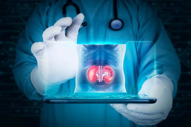 cum iti poti proteja rinichii in timpul chimioterapiei recomandari importante pentru pacientii oncologici 6a2847d99d0e7