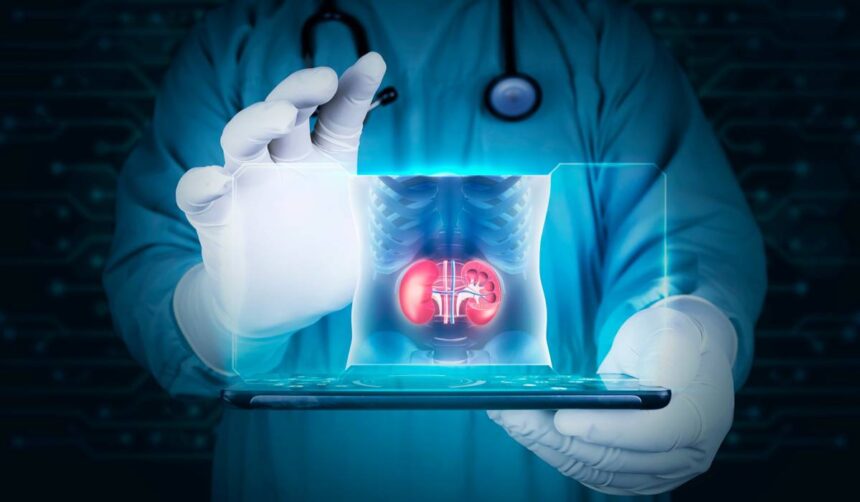 Cum să îți protejezi rinichii în timpul chimioterapiei: sfaturi esențiale pentru pacienții oncologici 51 cum iti poti proteja rinichii in timpul chimioterapiei recomandari importante pentru pacientii oncologici 6a2847d99d0e7