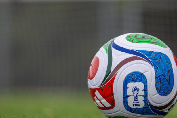 cum profita infractorii cibernetici de cupa mondiala fifa 6a2a9f99a8d64