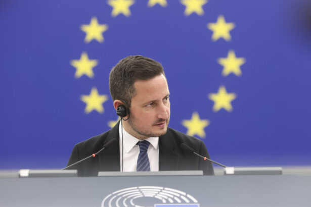 exclusiv nicu stefanuta cere comisiei europene un mecanism rapid de despagubire pentru romanii care ar fi fost afectati de manipularea robor 6a292f974369b