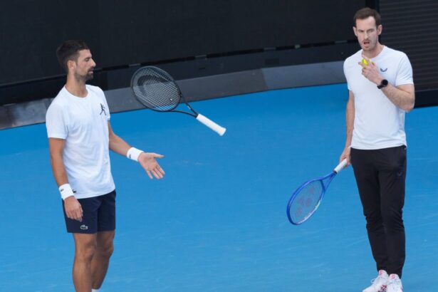galerie foto reactia puternica a lui andy murray dupa ce s a vehiculat ca djokovic il platea cu 100000 pe saptamana 6a39197c1630f
