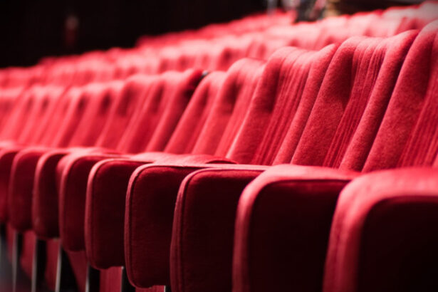 guvernul va imparti 244 de milioane de lei catre teatre opere si filarmonici din tara lista principalilor beneficiari 6a2c1689701fd