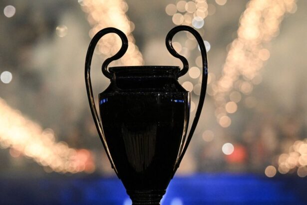 live text universitatea craiova isi afla astazi adversara din primul tur preliminar uefa champions league tragerea la sorti e de la 1700 6a314cad923c7