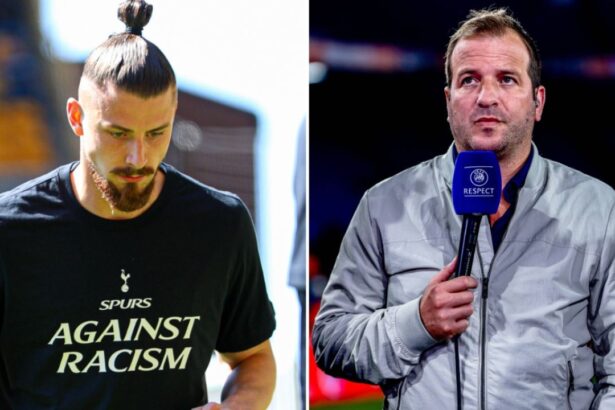 rafael van der vaart a vazut ce inlocuitor vrea sa aduca tottenham pentru radu dragusin si a reactionat imi plange inima 6a2ab51addb0f